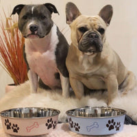 Loving Pets Bella Dog Bowls, Stainless Steel Dog & Cat Bowls - Murano Blue / Large (35-65lbs) - image 3