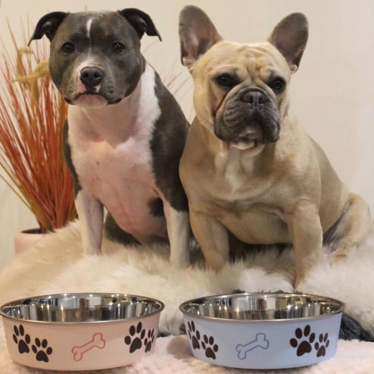 Loving Pets Bella Dog Bowls, Stainless Steel Dog & Cat Bowls - Murano Blue / Large (35-65lbs) - image 3