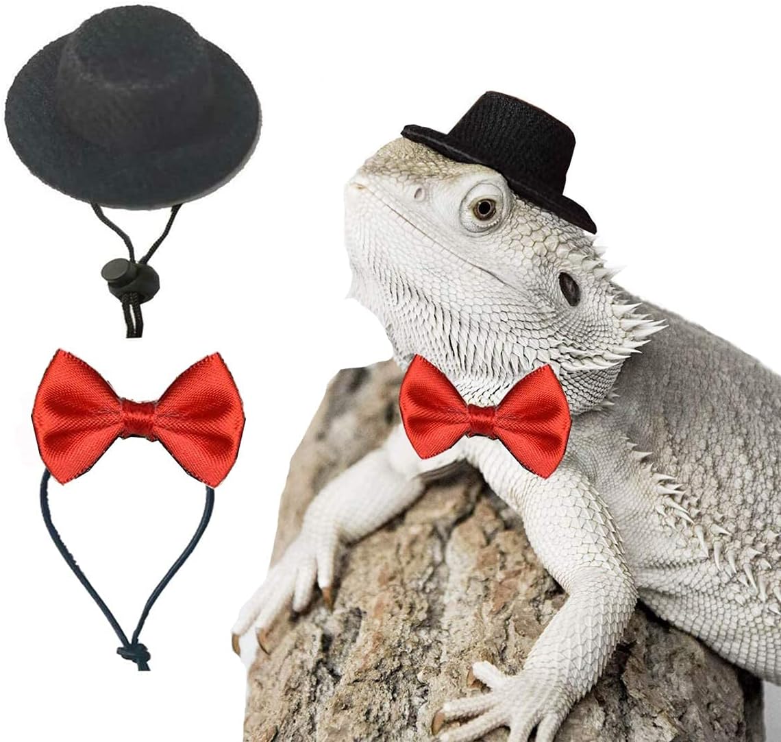 DuvinDD bearded dragon hat and red bowtie costume set, adjustable