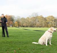 100ft Long Leash for Dogs - 50ft - image 3