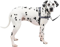 PetSafe Easy Walk Deluxe Dog Harness, No Pull Dog Harness - Large / Steel