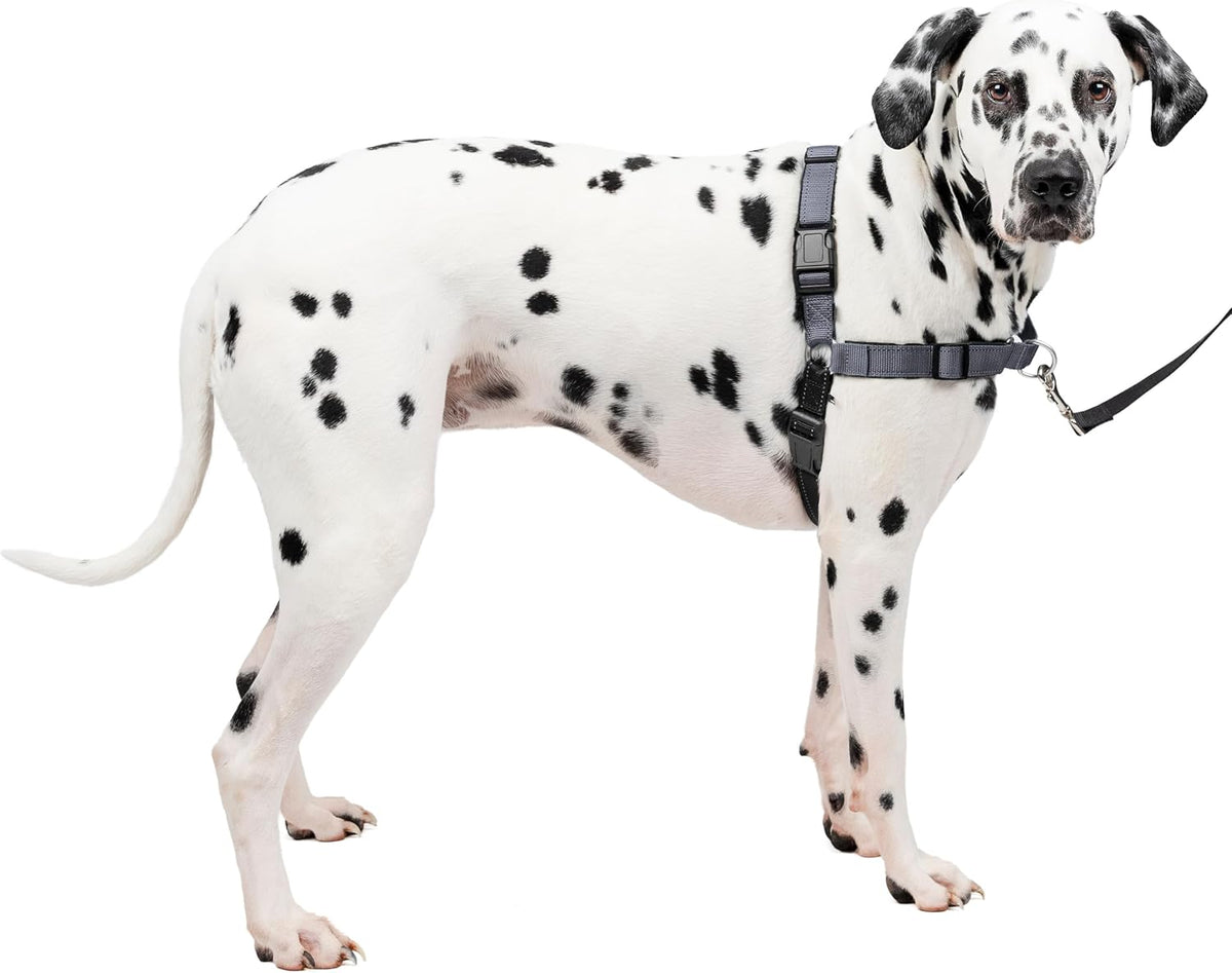 PetSafe Easy Walk Deluxe Dog Harness, No Pull Dog Harness - Large / Steel