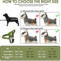 SlowTon No Pull Dog Harness and Leash Set, Heavy Duty - Green / Small - image 2