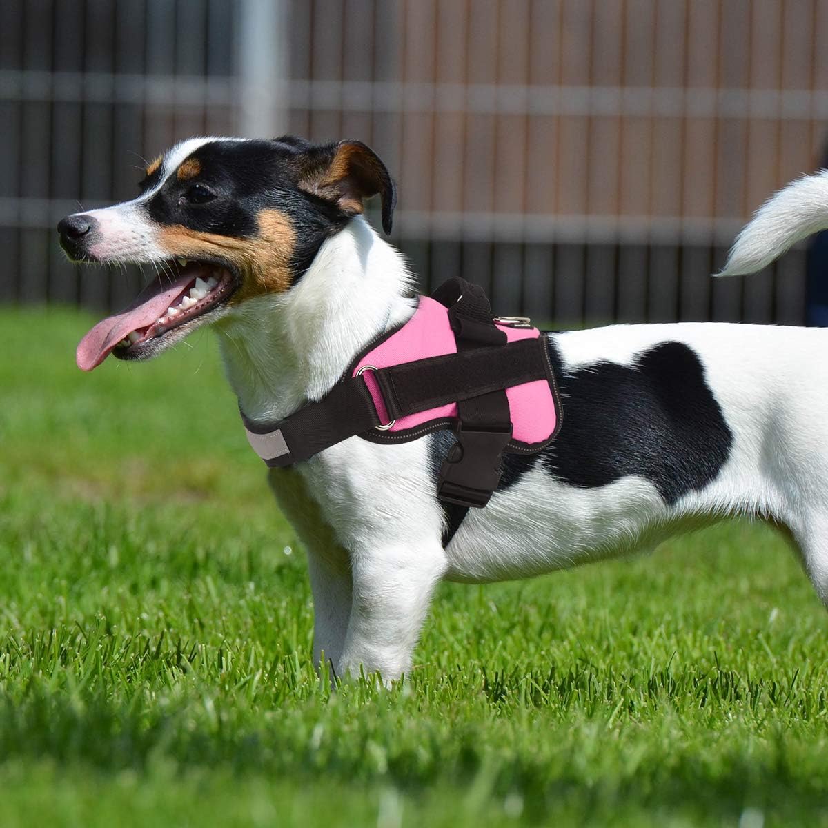 Bolux Dog Harness, No-Pull Reflective Dog Vest - Small (Pack of 1) / Pink - image 3