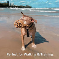 BARKLESS Dog Muzzle, Basket Muzzle for Biting, Chewing and Scavenging, Humane Cage Mouth Cover, Perfect for Grooming and Training Small Aggressive Reactive Dogs (S, Brown)