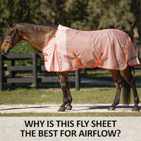 Schneiders Ripstop Nylon Mesh II Horse Fly Sheets | Optimal Airflow & UV Protection