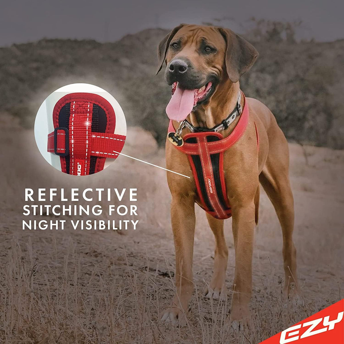 EzyDog Chest Plate No Pull Dog Harness, Escape Proof - Purple / X-Small - image 2