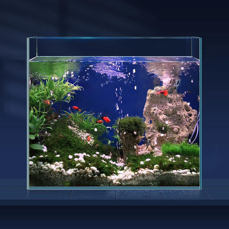 6.5 Gallon Ultra Clear Glass Fish Tank - 6.5 gallons