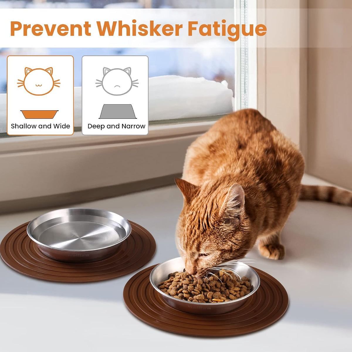 Cat Bowls, 304 Stainless Steel Non-Slip Wide Shallow - 2 Basic Bowls - image 4