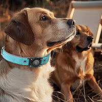 AirTag Dog Collar - Leather Dog Collar with Air Tag Holder | IPX8 Waterproof, Reflective, High - End, Adjustable Soft Padded | Dog GPS Tracker Collars Fit for Medium Large Dogs (Light Blue, M)