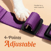 Cat Harness and Leash Set, Adjustable and Escape Proof - Purple / M - image 3