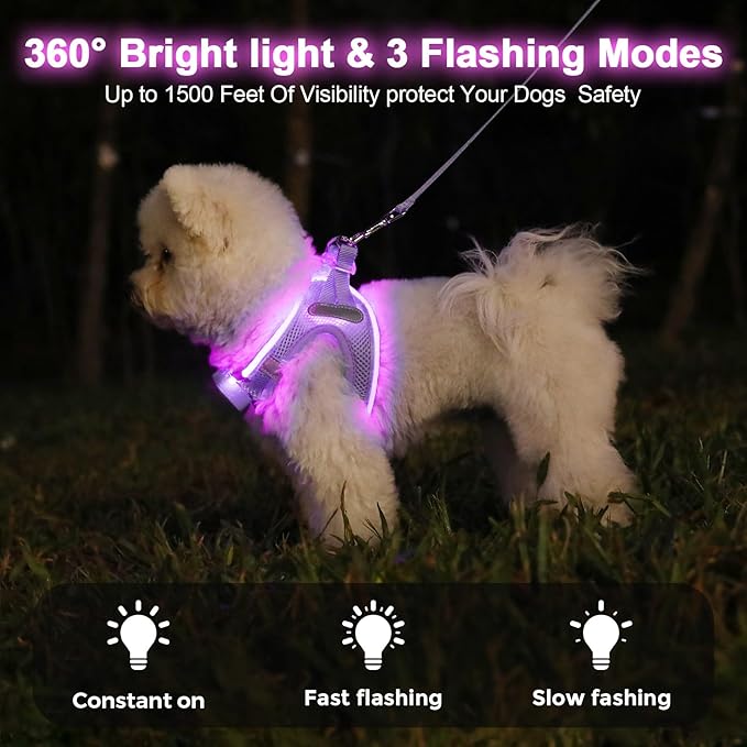 Light Up Dog Harness,Rechargeable LED Dog Harness for Small Medium Large Dogs,Reflective Lighted Safety Vest for Night Walking & Camping,Lightweight & Adjustable,Lavender Purple,M