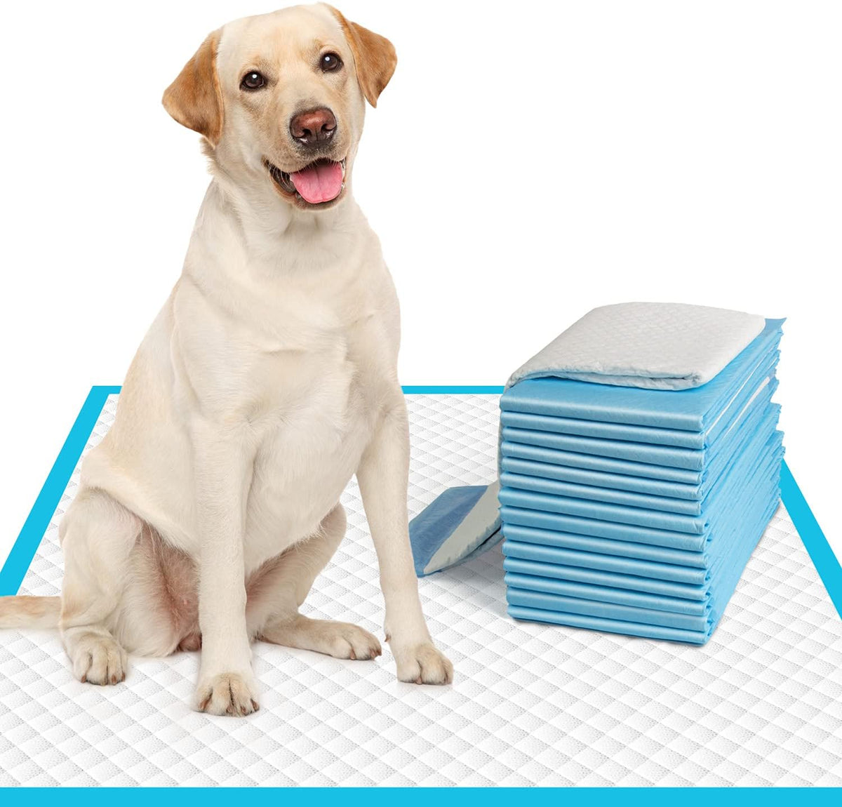 100 Count Premium Puppy Pads, 22"x23" Dog Pee Pads - 30" x 28" (50 Count)