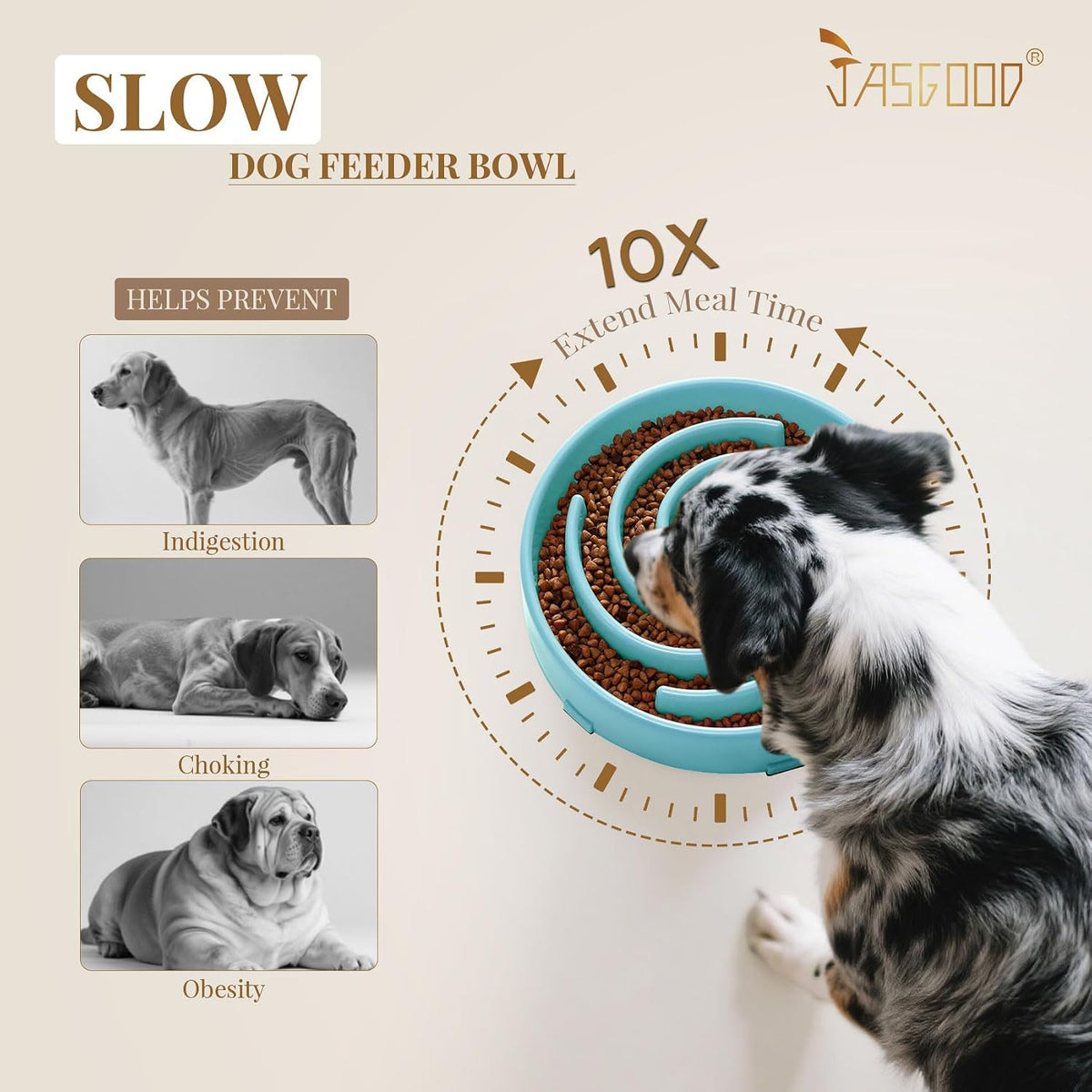 JASGOOD Slow Feeder Dogs Bowl for Large Medium Dogs - Large / B-Sky Blue - image 3