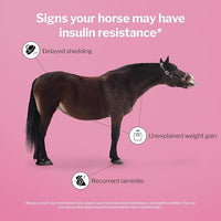 Formula 707 MetaStable Pellets for Horses 5 lb Bag – 40 Servings – University-Studied Support for Horses with Laminitis, Insulin Resistance & Metabolic Disorders