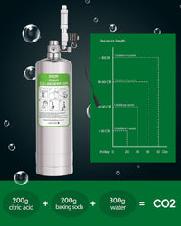 2L Aquarium Co2 System with Pressure Gauge for Aquarium Plants – Essentials for Fish - 2L-Single Gauge - image 2