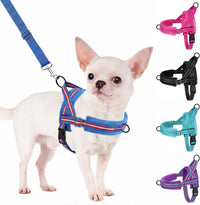 SlowTon No Pull Small Dog Harness and Leash Set with Front Clip – Essentials for Dogs - Small / Dark Blue