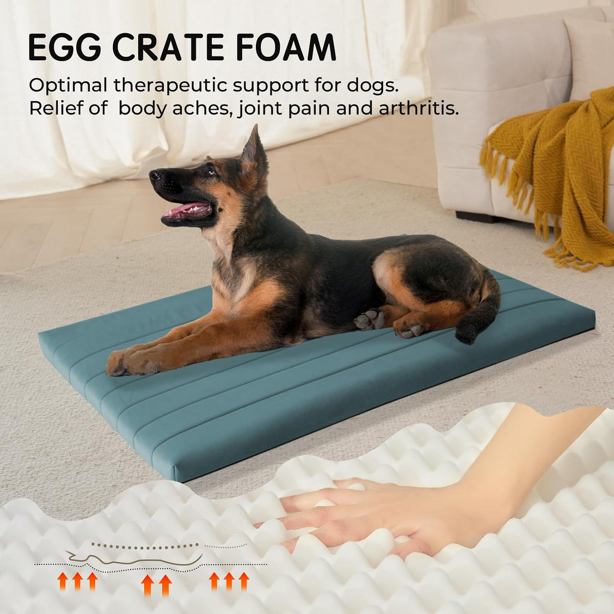BALANCE Dog Crate Bed, Orthopedic Dog Bed Pad with Waterproof Liner, Washable Crate Foam Pet Mat - Powder Blue / 48.0"L x 30.0"W x 2.0"Th - image 2