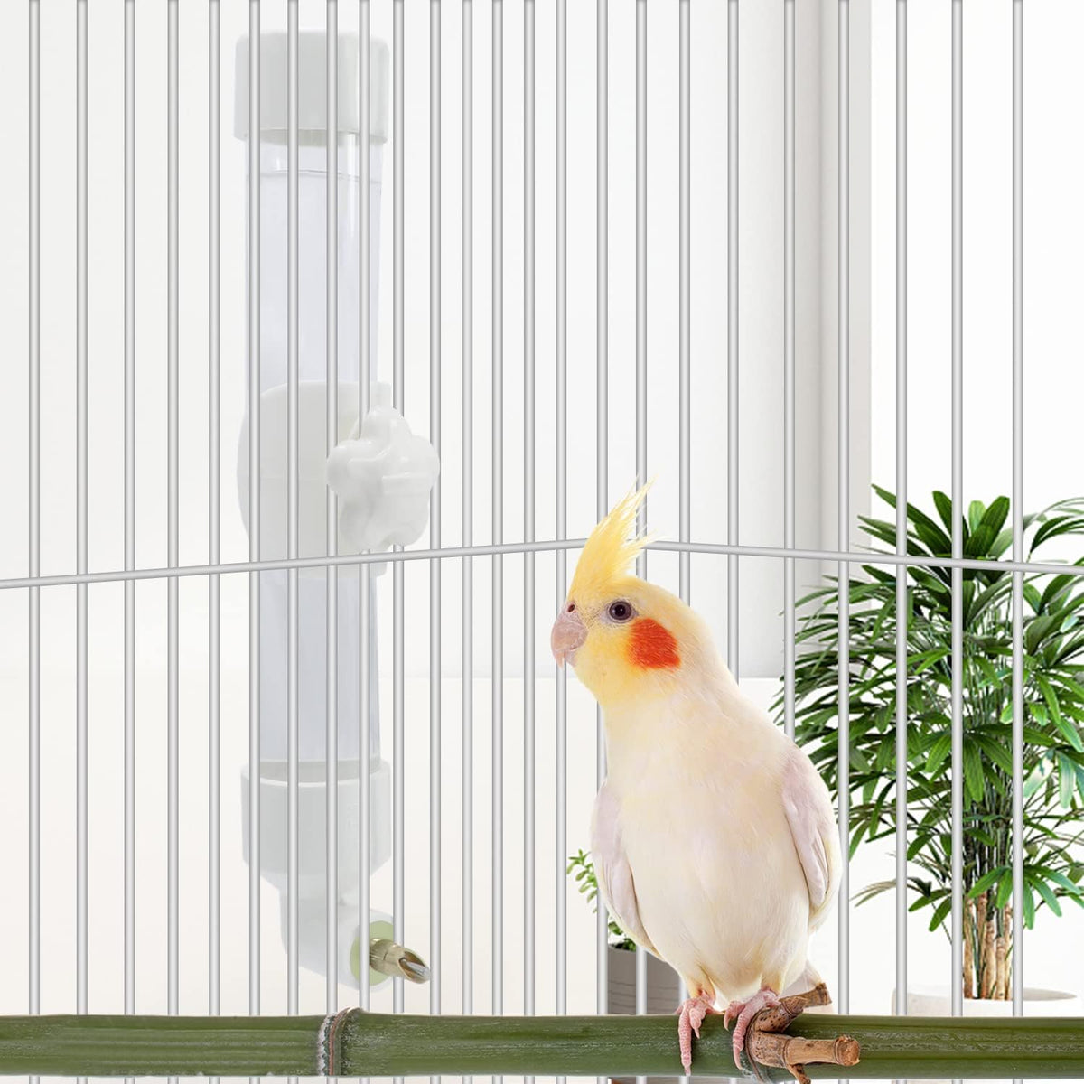 Bird Water Dispenser Parrot Waterer Automatic Bird Water Feeder - Medium / White - image 2