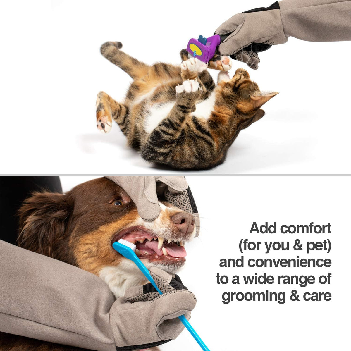 PetFusion Unisex Multi-purpose Pet Glove – Essentials for Dogs - Small / Grey - image 3