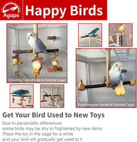 Agape Rotating Parrot Perch with Chew Toy - Seed - image 3