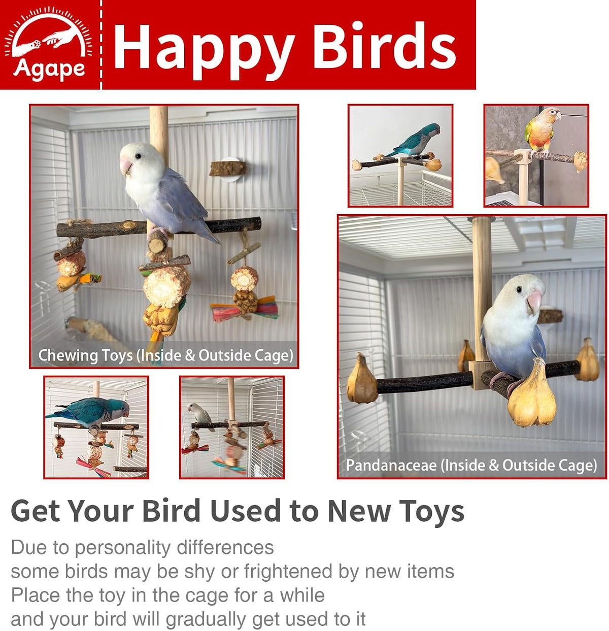 Agape Rotating Parrot Perch with Chew Toy - Seed - image 3