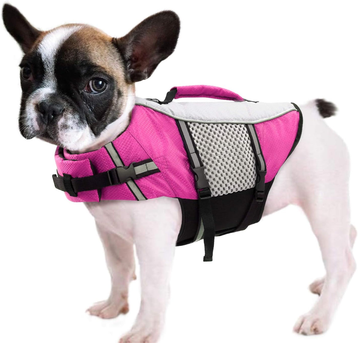 Dog Life Jacket, Small Float Vest for Swimming Boating Kayaking - Small / Pink
