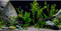 Underwater Aquatic Fish Tank Background Stone Aquarium Backdrop 36x24 - 36x24in/90x60cm