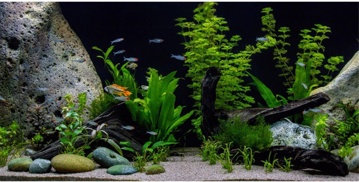 Underwater Aquatic Fish Tank Background Stone Aquarium Backdrop 36x24 - 36x24in/90x60cm