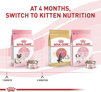 Royal Canin Feline Health Nutrition Mother & Babycat Ultra Soft Mousse in Sauce Canned Cat Food, 3 oz can (24-count)