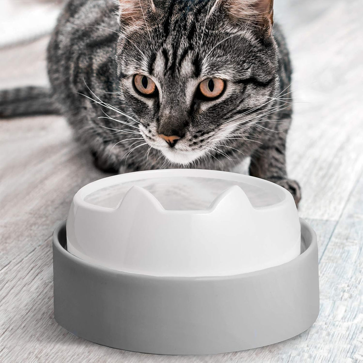 CatGuru Food Table for Cat Bowls - Standard / Grey - image 3