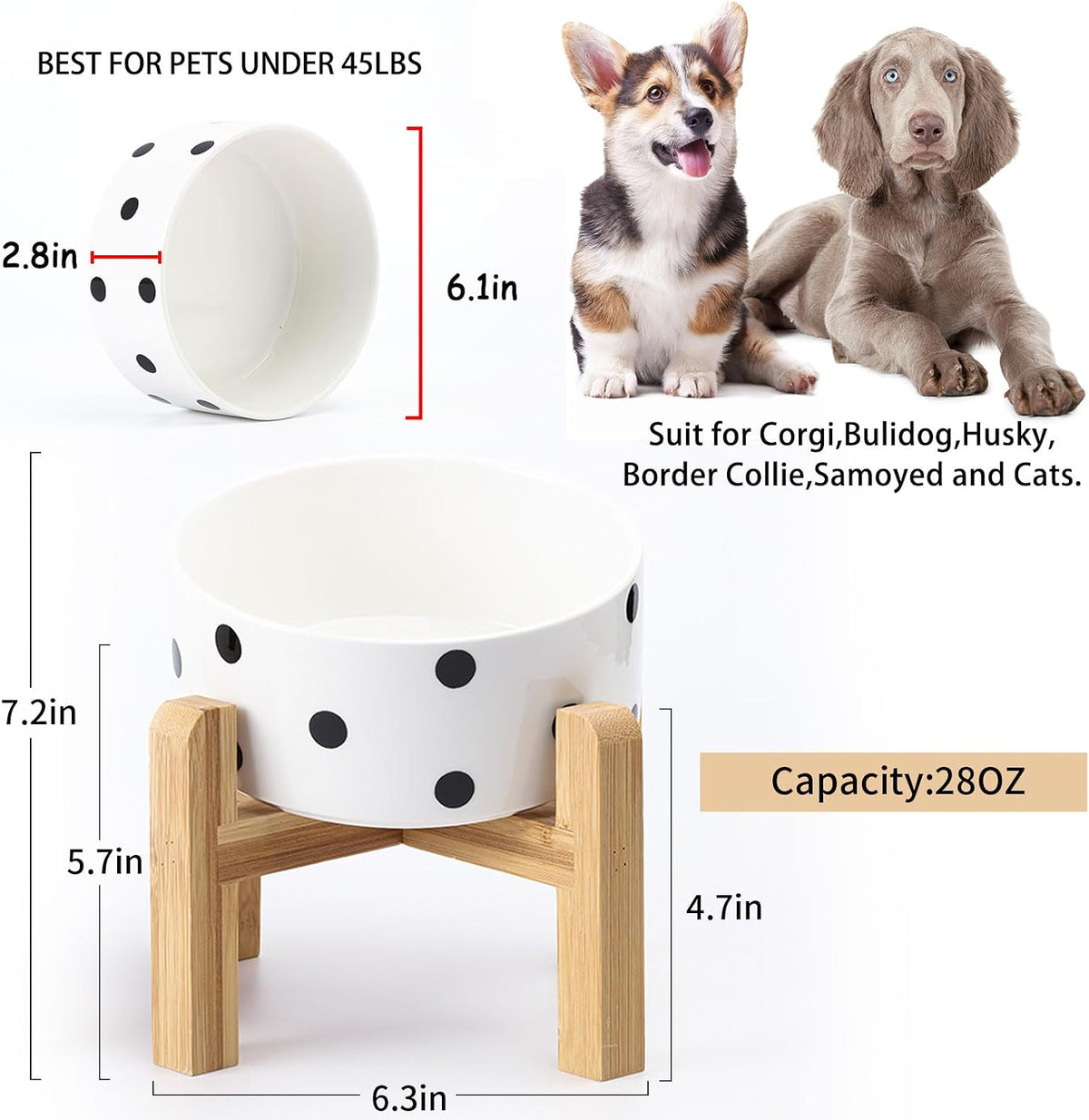 Black Raised/Elevated 15°Slanted Ceramic Dog Bowl for Small Breeds - Black Dot / 3.6 CUPS - Medium Dog Bowls - image 3