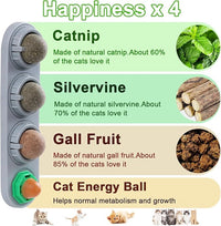 CCINEE Catnip Balls for Cats Wall Catnip Toys Edible Cat Toys for Cat Lick Safe Healthy Kitten Chew Toys Teeth Cleaning Dental Cat Toys(4 Flavor)