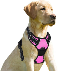 BARKBAY Dog Harness No Pull for Large Dogs Front Back Clips - Medium(Chest:22.5-28") / Pink