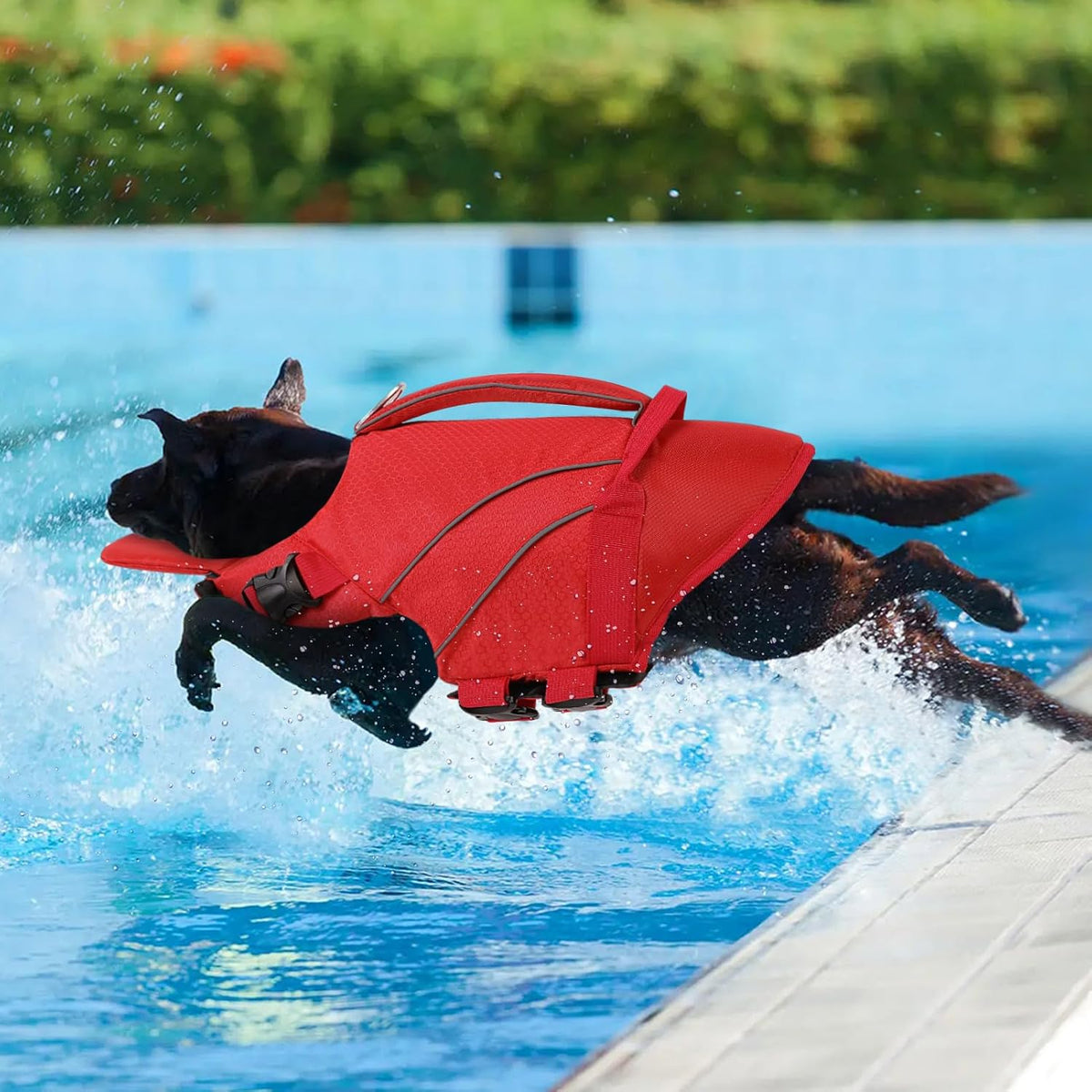 Queenmore Dog Life Jacket with Front Float - Large / Red - image 4