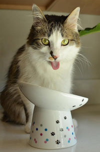 Necoichi Extra Wide Raised Cat Food Bowl, Elevated, Prevent Neck & Whisker Fatigue, Dishwasher and Microwave Safe, No.1 Seller in Japan! (Colorful Dots Limited Edition, Extra Wide Tilted)