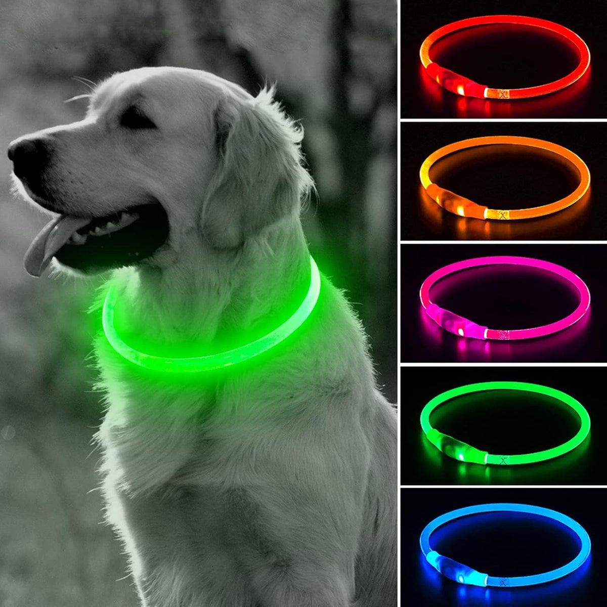 Light Up Dog Collar – Essentials for Dogs - Green (70cm)