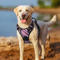 rabbitgoo Dog Harness No Pull with 2 Leash Clips, Adjustable Soft Padded, Reflective Oxford No Choke Pet Vest with Easy Control Handle for Large Dogs, Red Stripe, S