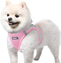 rabbitgoo Step-in Small Dog Harness - Light Pink & Gray / S(chest:15.1"-16.5")