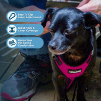 Voyager Step-in Lock Dog Harness, Pink - Harness (Fuchsia/Black Trim) / S (Chest: 15 - 18") - image 3