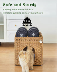 Cat Beds Indoor Kitten House, PE Rattan Cat Cave - Natural / Rectangle-XL - image 3