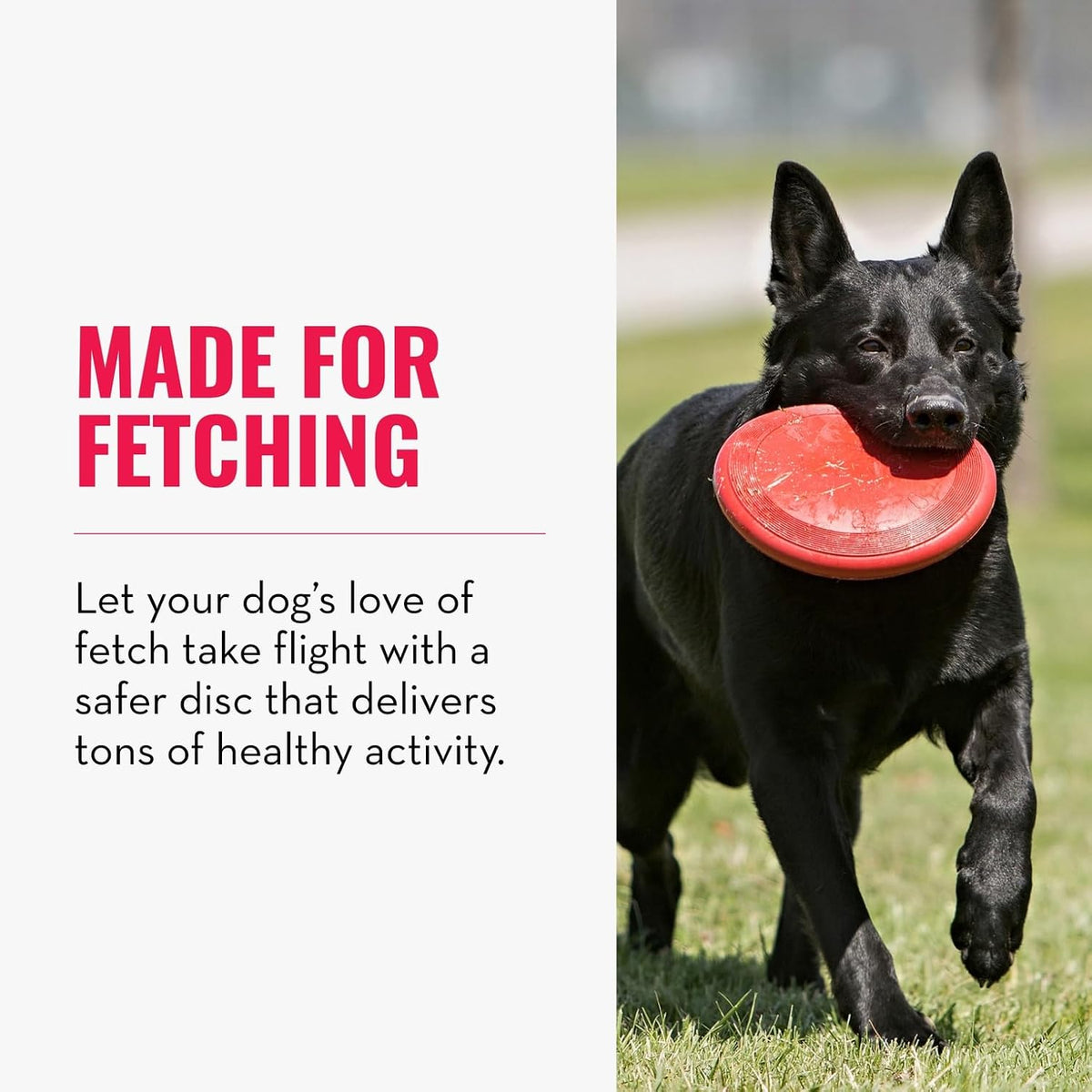 KONG Flyer, Natural Rubber Flying Disc Fetch Toy - Large (Pack of 1) - image 4