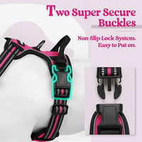 rabbitgoo Dog Harness No Pull with 2 Leash Clips, Adjustable Soft Padded, Reflective Oxford No Choke Pet Vest with Easy Control Handle for Large Dogs, Hot Pink, S
