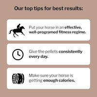 Formula 707 MuscleMx Equine Supplement, 10 lb Bag – Conditioning Support and Muscle Builder for Horses with Lysine, Gamma Oryzanol, Creatine & OKG