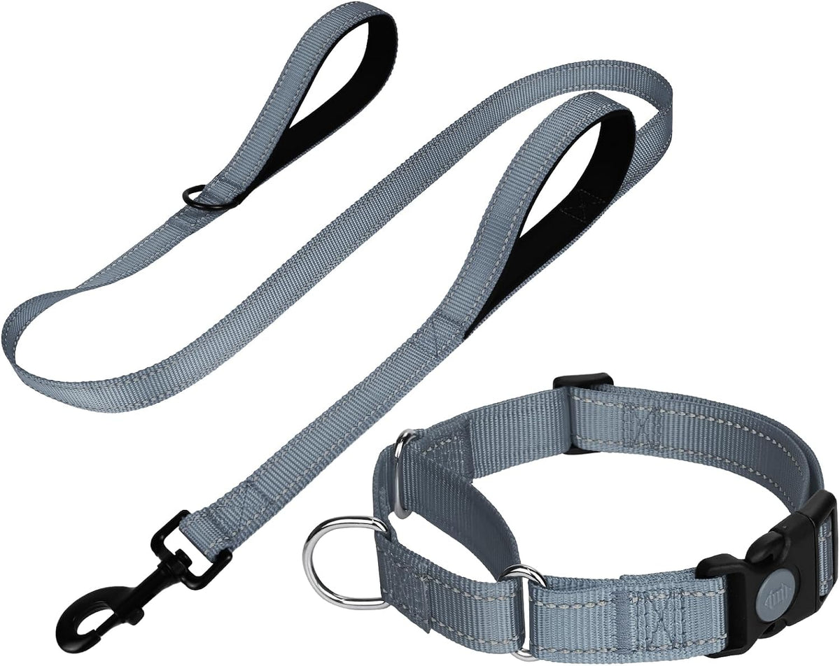 FunTags Martingale Dog Collar and Leash Set for Medium Dogs - Grey / S
