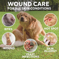Forticept Hot Spot Spray for Dogs Cats & Horses, Itch Relief Wound Cleanser with Aloe Vera, 8 oz
