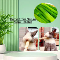 300g Sweet Bamboo Chew Toy for Small Animals, Bunny Chew Sticks - 11 Ounce (Pack of 2) - image 2