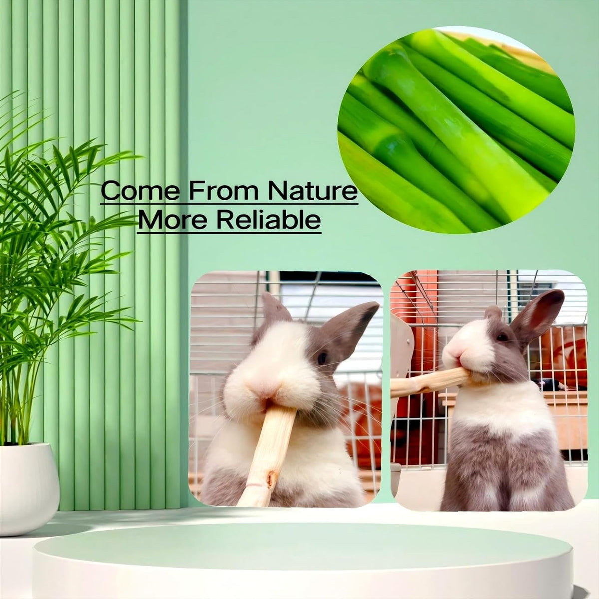 300g Sweet Bamboo Chew Toy for Small Animals, Bunny Chew Sticks - 11 Ounce (Pack of 2) - image 2