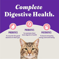 Halo Holistic Kitten Food, Wild Caught Salmon & Whitefish Recipe, Grain Free Dry Cat Food, Complete Digestive Health, 10 lb Bag