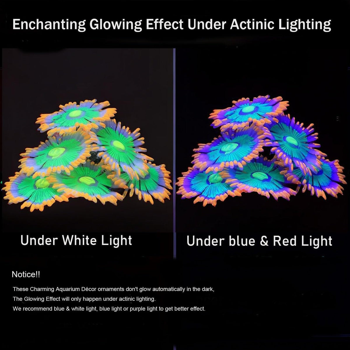 ZtohPyo Glow Fish Tank Decorations - Orange - image 3